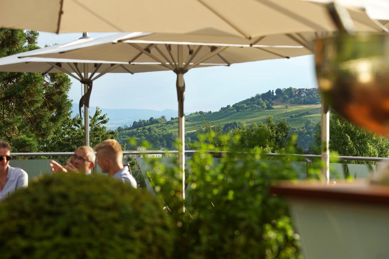 Hotel Villa Elben Loerrach Bei Basel Ngoại thất bức ảnh